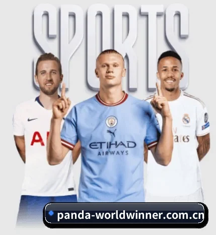 熊猫比分围绕看球场景设计的核心服务