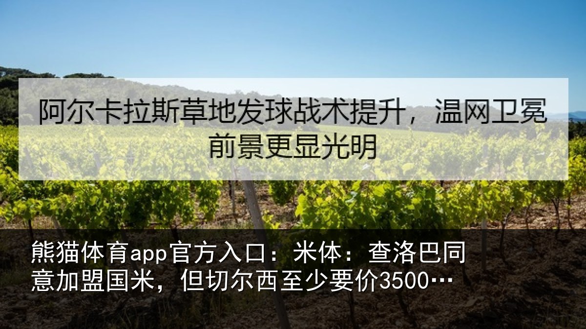 熊猫体育app官方入口：米体：查洛巴同意加盟国米，但切尔西至少要价3500万欧