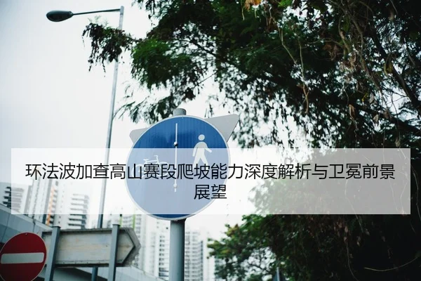 环法波加查高山赛段爬坡能力深度解析与卫冕前景展望