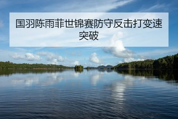 国羽陈雨菲世锦赛防守反击打变速突破