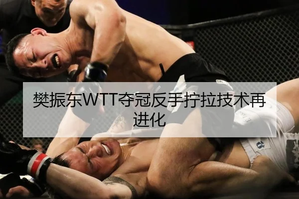 樊振东WTT夺冠反手拧拉技术再进化